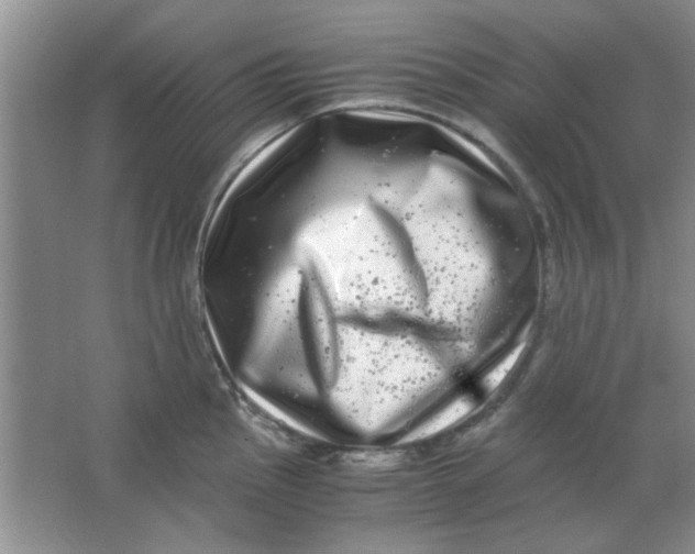 X0000063501145200602101852