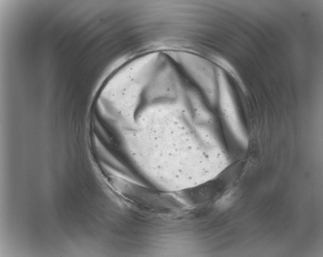 X0000063501146200602101852