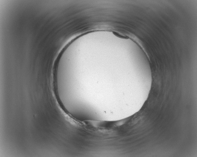 X0000063501147200602101852