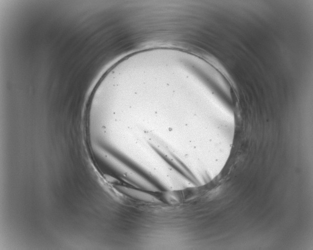 X0000063501148200602101852