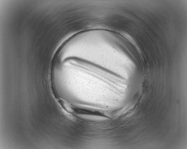 X0000063501149200602101852