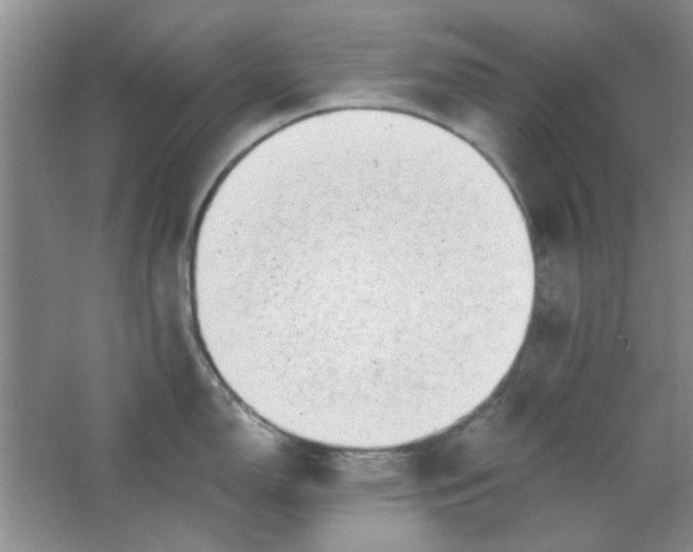 X0000063501150200602101852