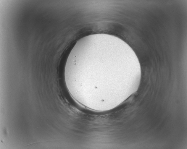 X0000063501153200602101852