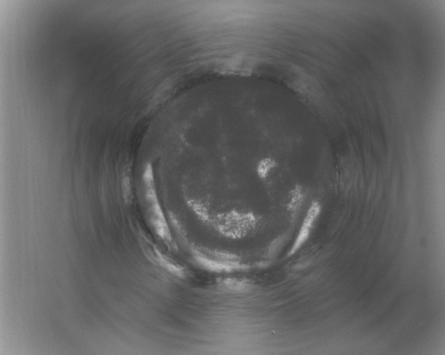 X0000063501154200602101852