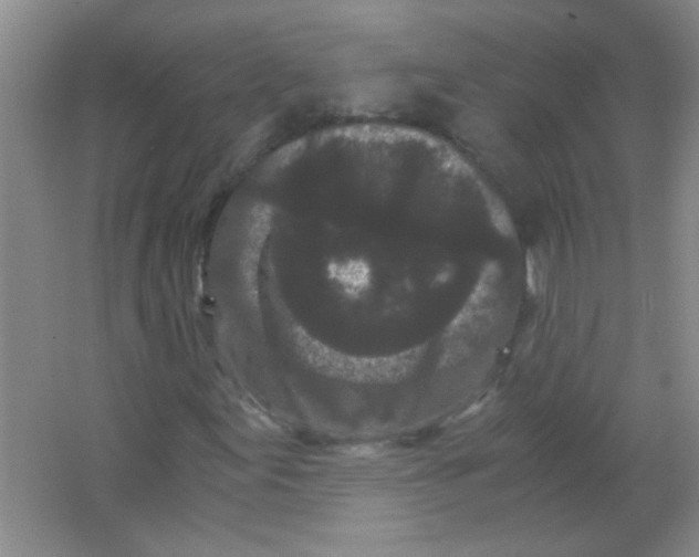 X0000063501155200602101852