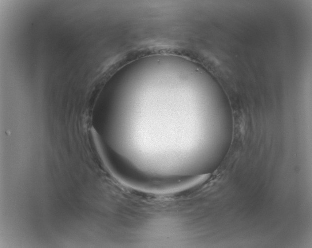 X0000063501157200602101852