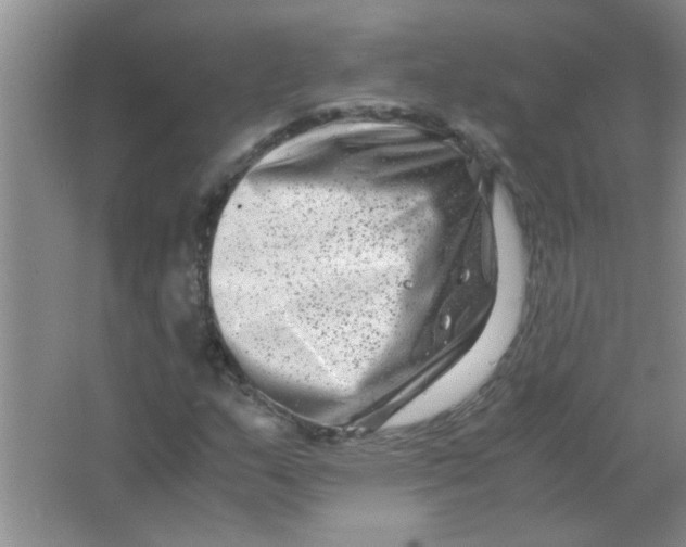 X0000063501159200602101852