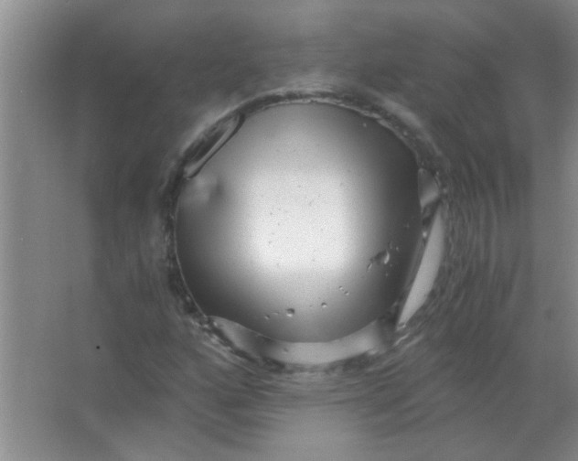 X0000063501160200602101852