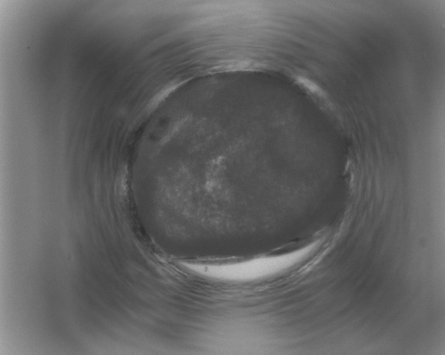 X0000063501161200602101852