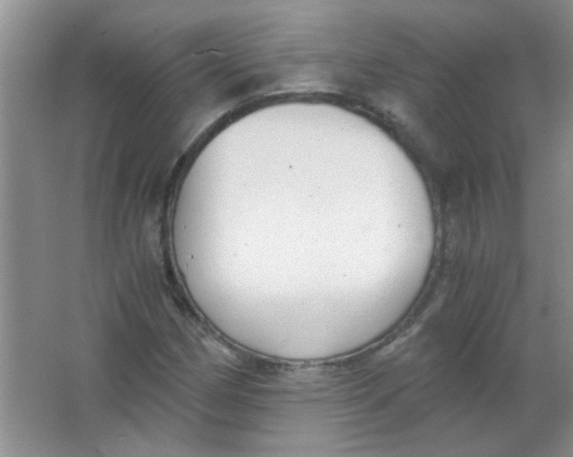 X0000063501162200602101852