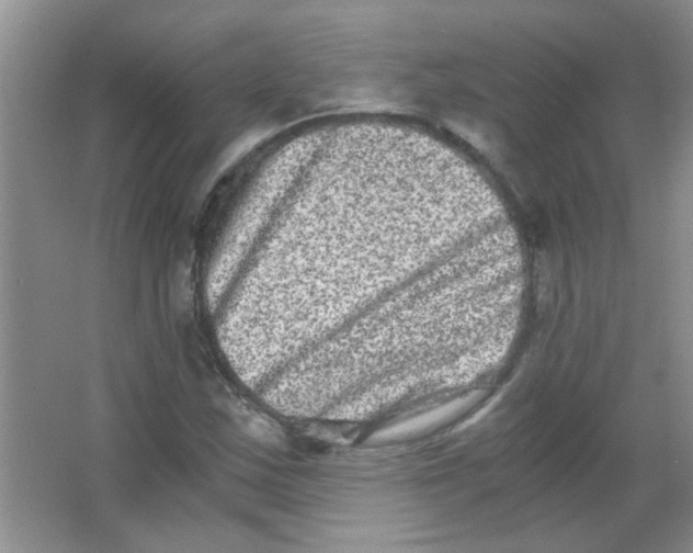 X0000063501163200602101852