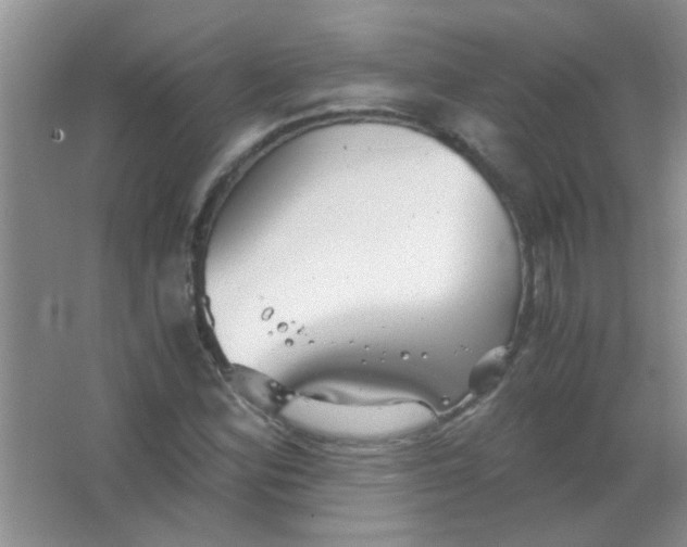 X0000063501164200602101851