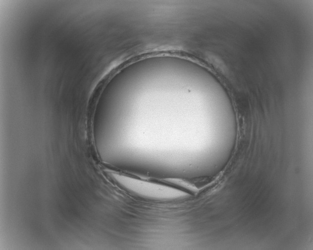 X0000063501165200602101851