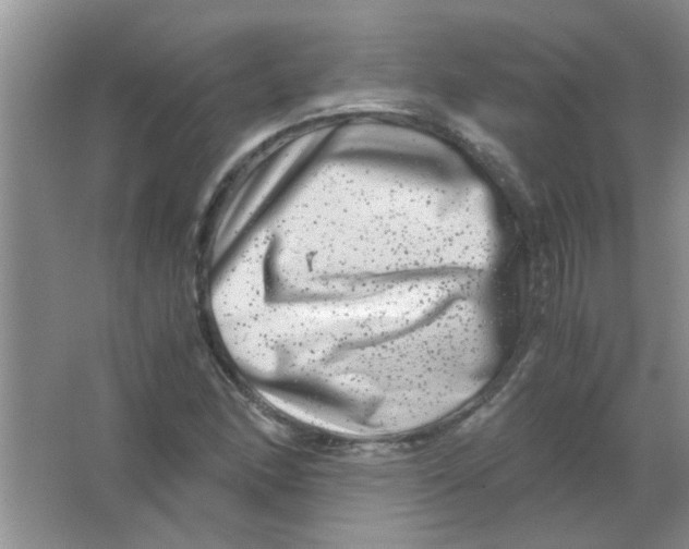 X0000063501166200602101851