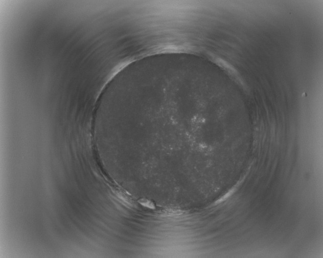 X0000063501170200602101851