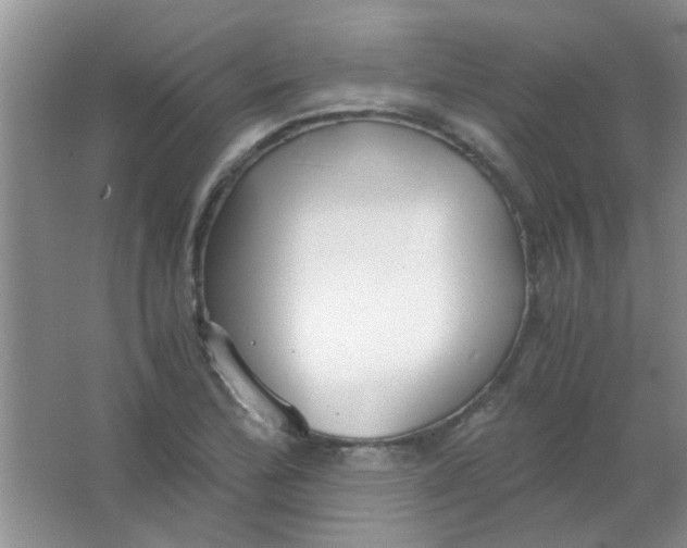 X0000063501172200602101851