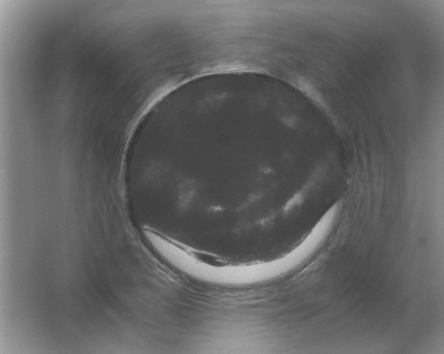 X0000063501173200602101851