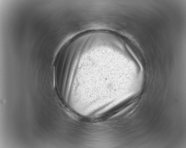 X0000063501175200602101851