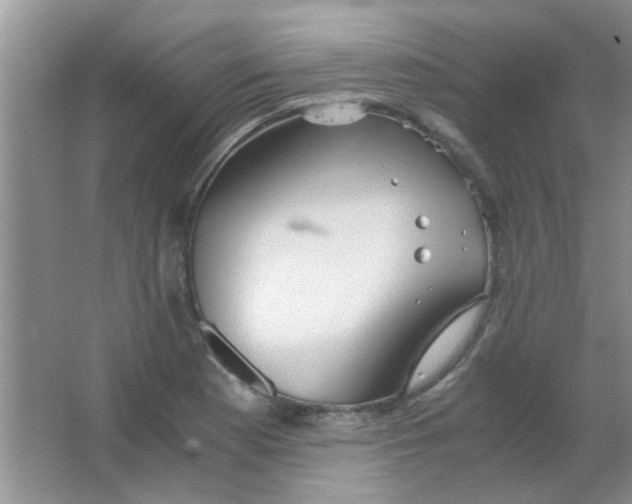 X0000063501177200602101851