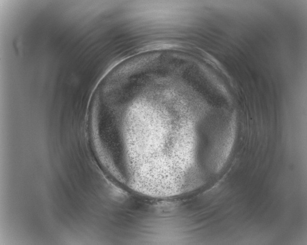 X0000063501178200602101851