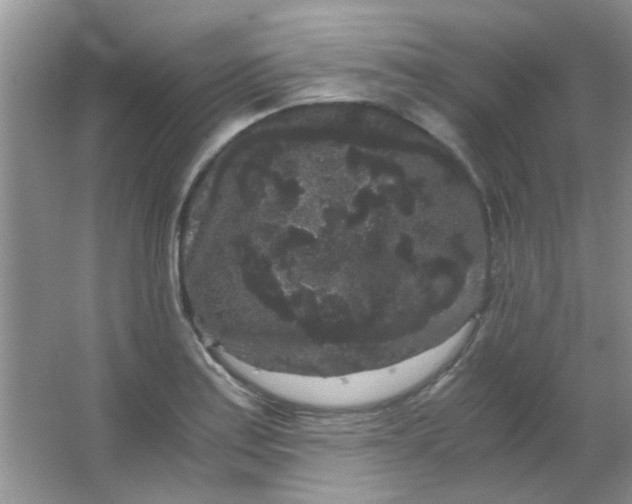 X0000063501179200602101851