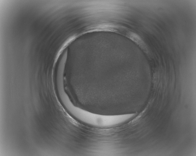 X0000063501180200602101851