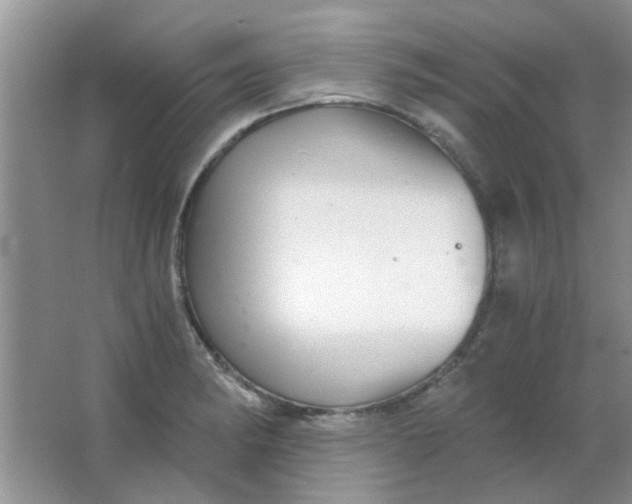 X0000063501182200602101851