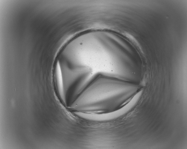 X0000063501183200602101851