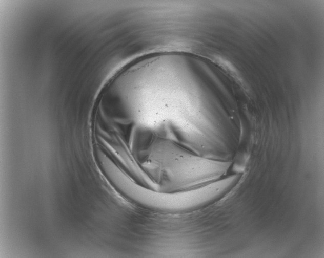 X0000063501184200602101851