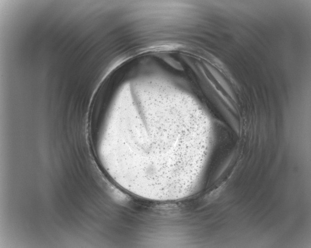 X0000063501186200602101851