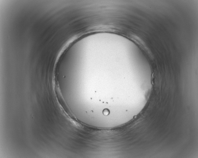 X0000063501188200602101851