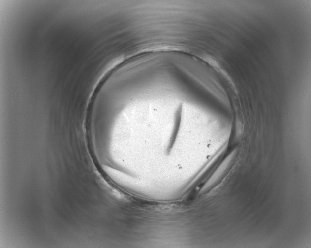 X0000063501189200602101851