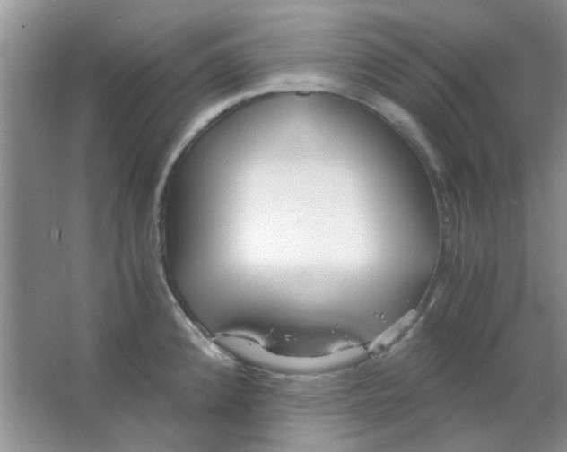 X0000063501192200602101851