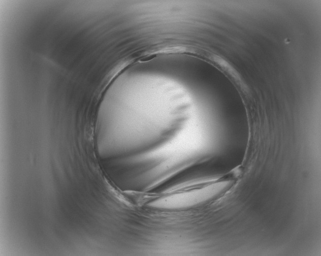 X0000063501193200602101851