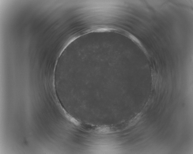 X0000063501194200602101851