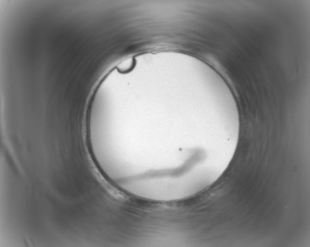 X0000063501195200602101851