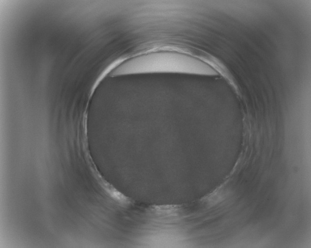 X0000063501198200602101851