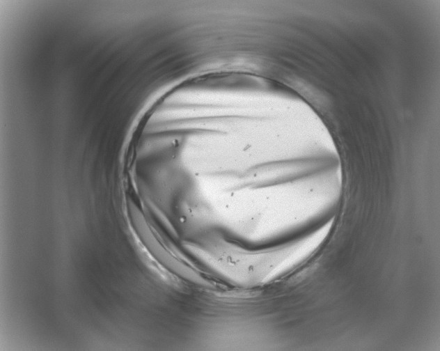 X0000063501200200602101851