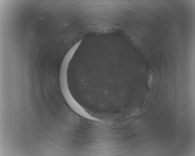 X0000063501202200602101850