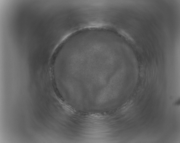 X0000063501208200602101850