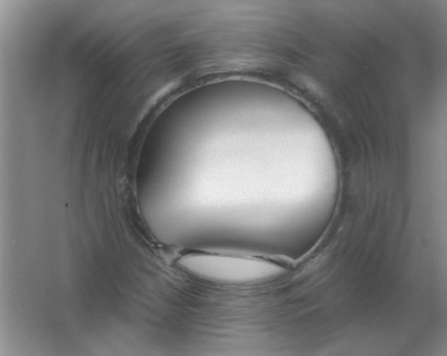 X0000063501210200602101850