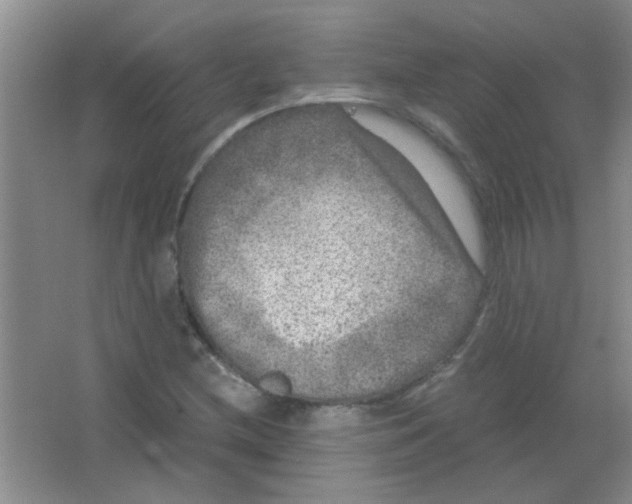 X0000063501212200602101850