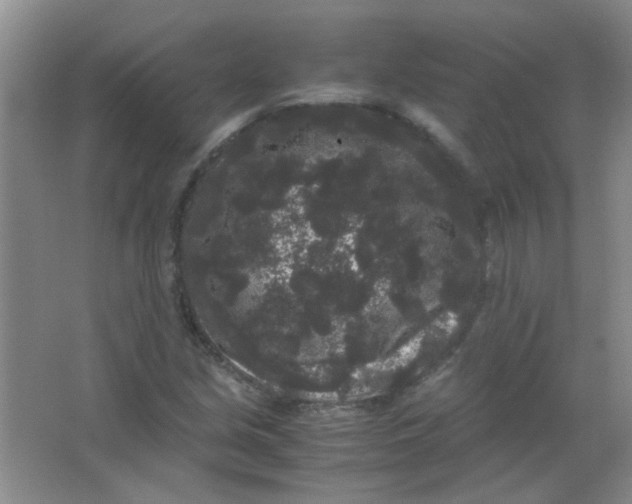 X0000063501213200602101850