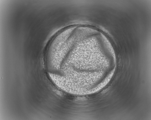 X0000063501215200602101850