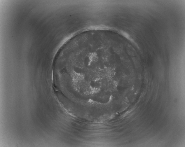 X0000063501221200602101850