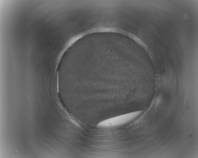 X0000063501223200602101850