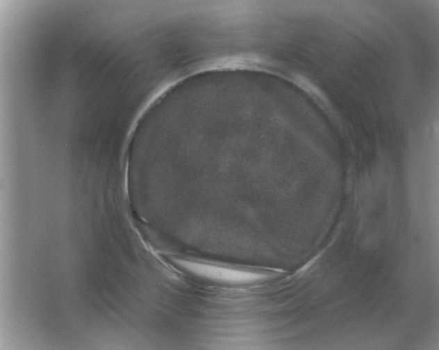 X0000063501224200602101850