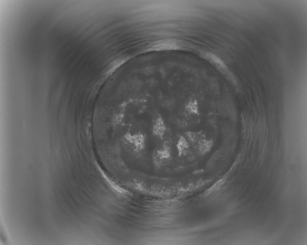 X0000063501225200602101850