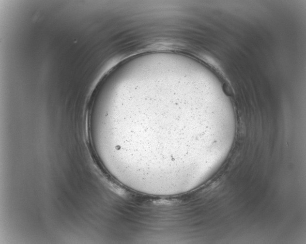 X0000063501227200602101851