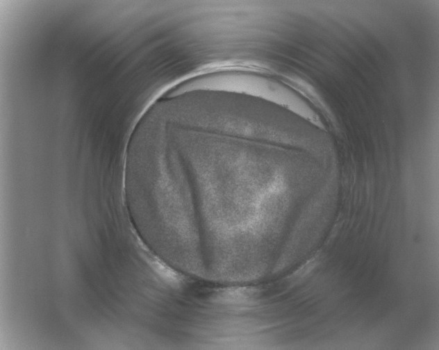 X0000063501228200602101851